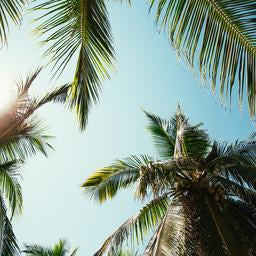 Majorca Cover Up Top